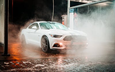 pexels-photo-3354648