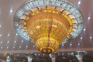 pexels-photo-4239092